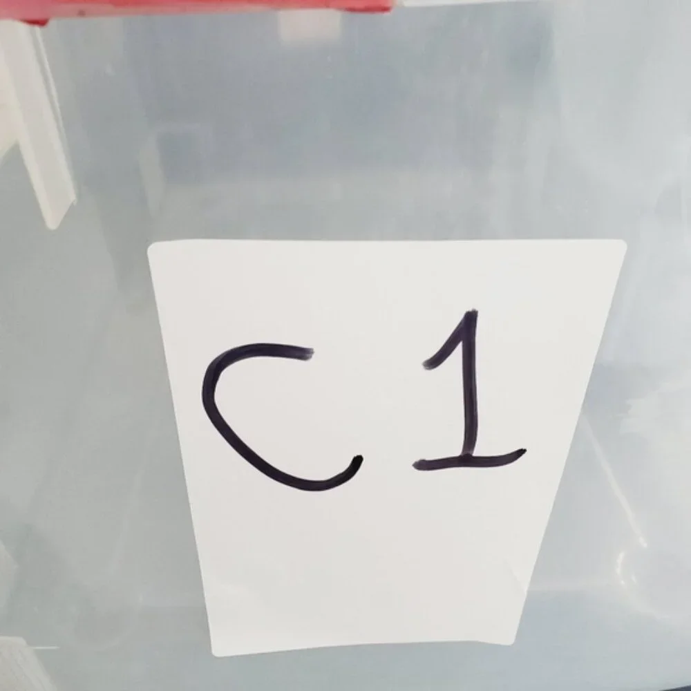 Handcrafted Vintage Wood Acapulco Mexico Tropical Fruit Bowl Trinket Dish - Picture 6 of 6